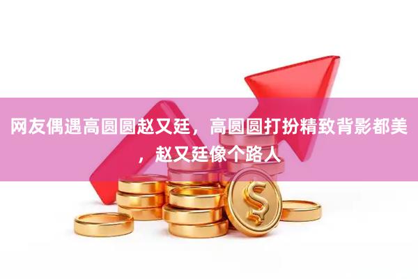 网友偶遇高圆圆赵又廷，高圆圆打扮精致背影都美，赵又廷像个路人