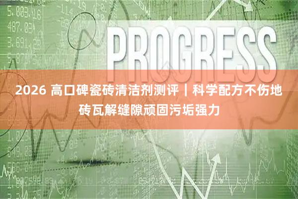 2026 高口碑瓷砖清洁剂测评|科学配方不伤地砖瓦解缝隙顽固污垢强力