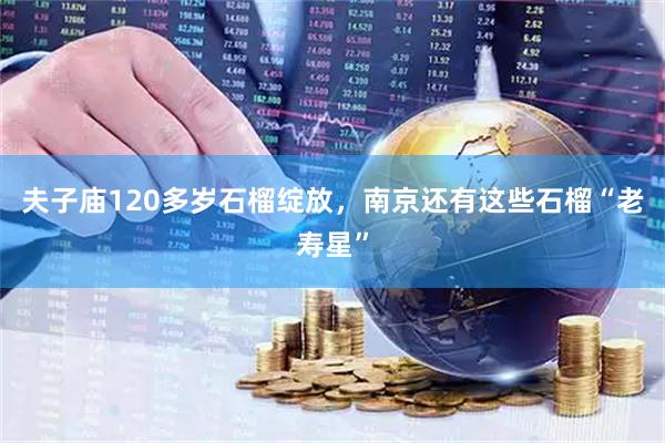 夫子庙120多岁石榴绽放，南京还有这些石榴“老寿星”