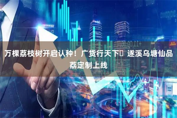 万棵荔枝树开启认种！广货行天下・遂溪乌塘仙品荔定制上线