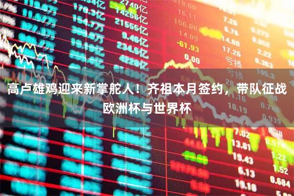 高卢雄鸡迎来新掌舵人!齐祖本月签约,带队征战欧洲杯与世界杯